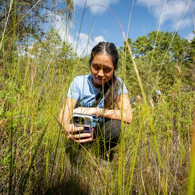 A student crouches to take a picture of a plant in a field.