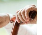 A hand holding a cane.