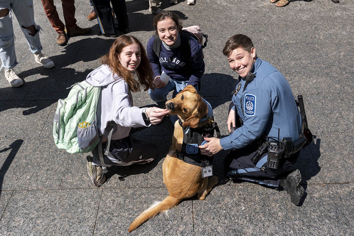 Students gathered around Taffy the service dog